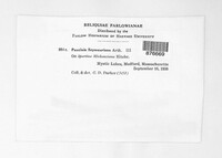 Image Associated With the Occurence